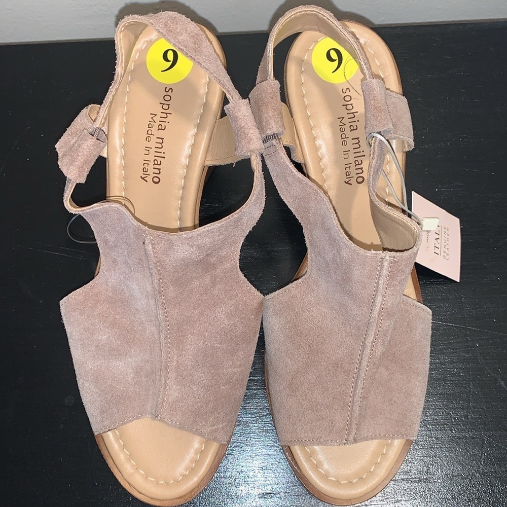 Sophia Milano Suede Wedge Heel‎ Sandals.  Size 9.  Made in Italy.